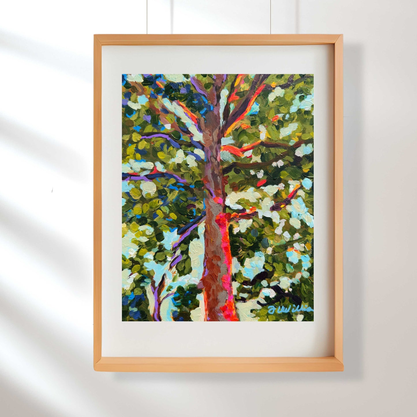 Tree in Napa Valley Fine Art Print