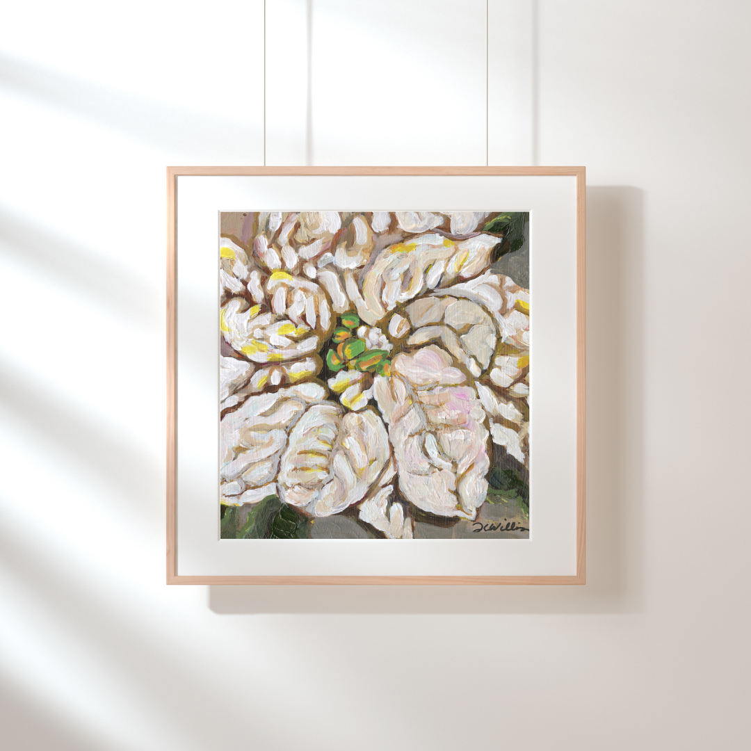 White Pointsettia Fine Art Print