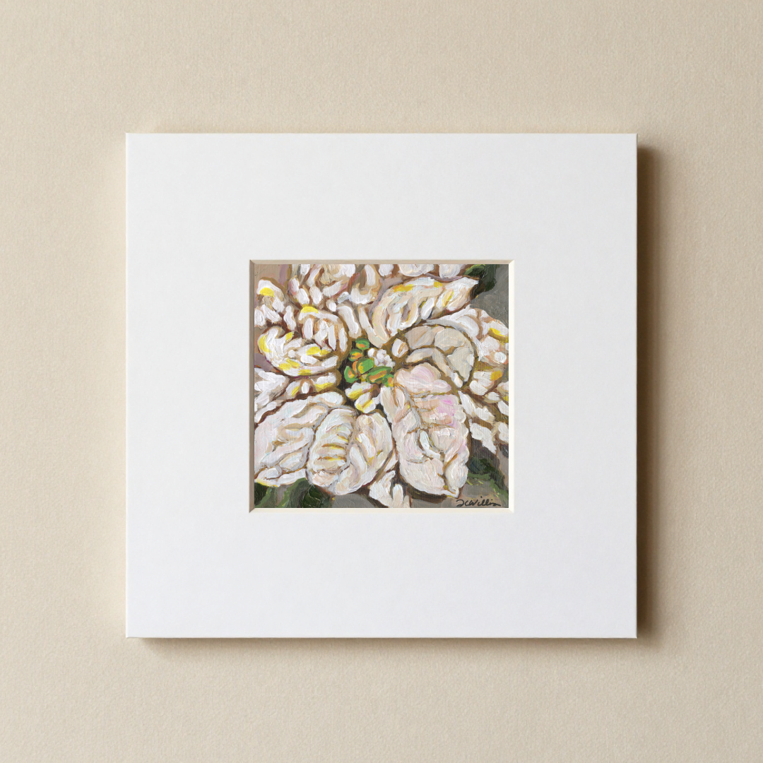 White Pointsettia 8x8 Matted Print