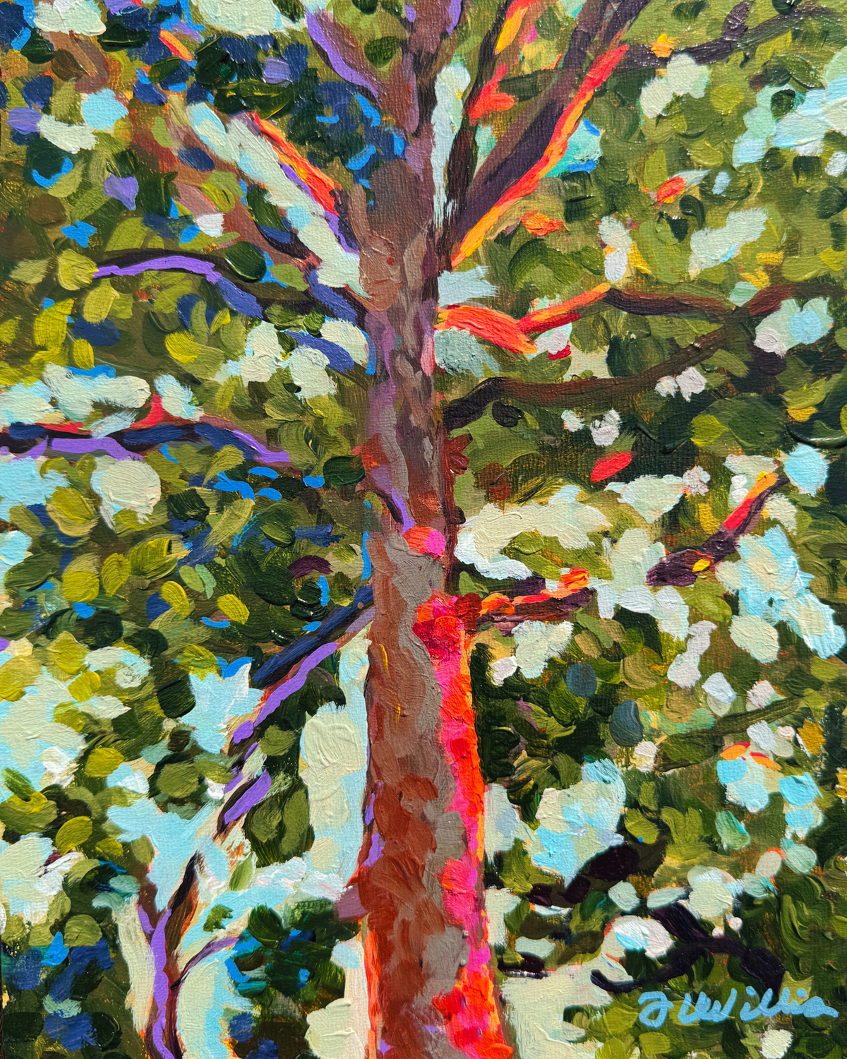 Tree in Napa Valley Original Painting