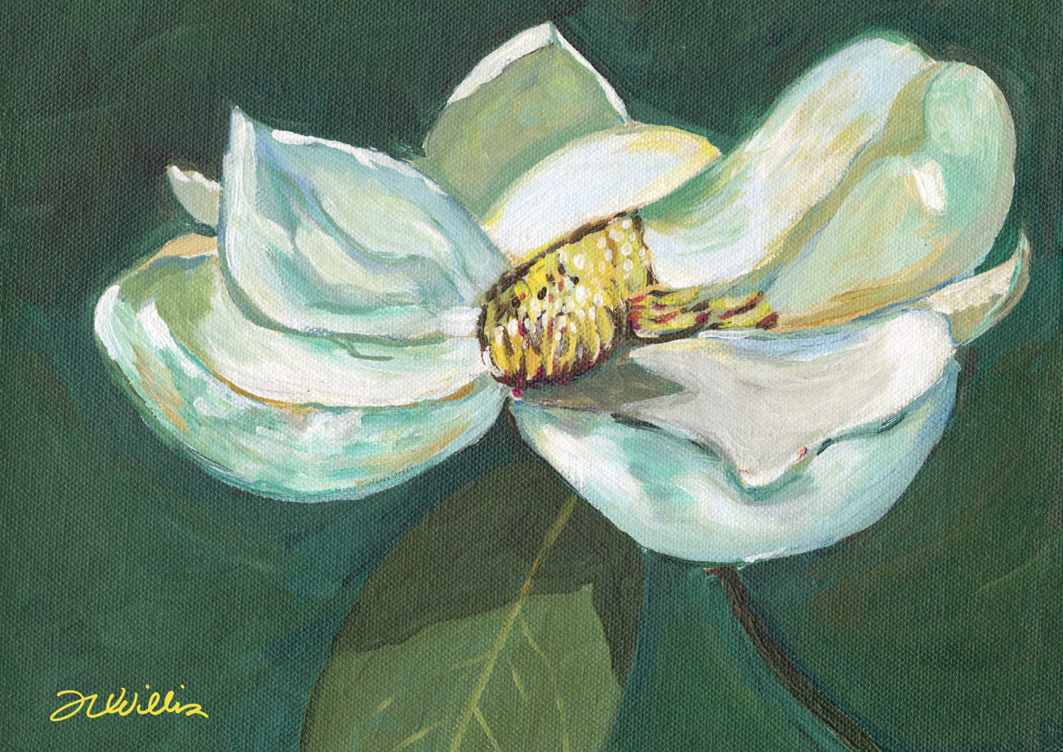 Magnolia