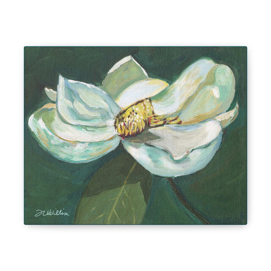 Magnolia Canvas Gallery Wrap with Turquoise Border