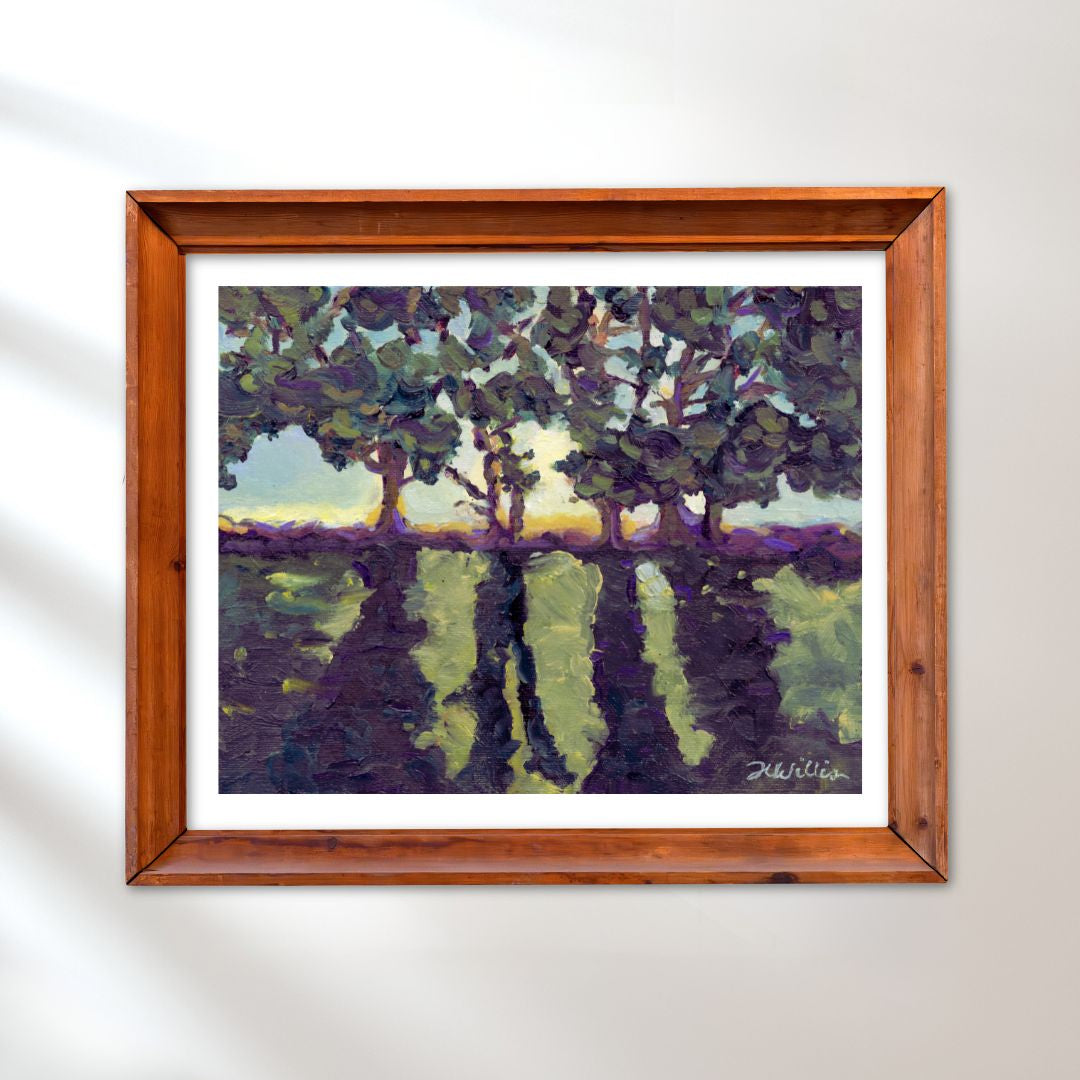 Sunset at Jessie's Grove Winery Fine Art Print