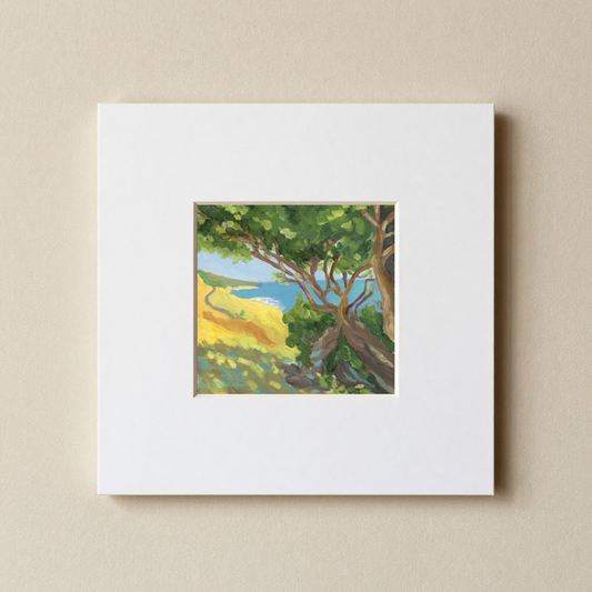 PCH 12x12 Matted Print