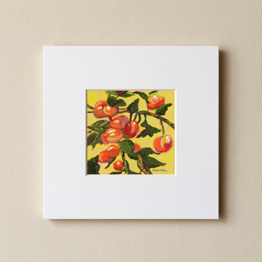 Persimmons 8x8 Matted Print