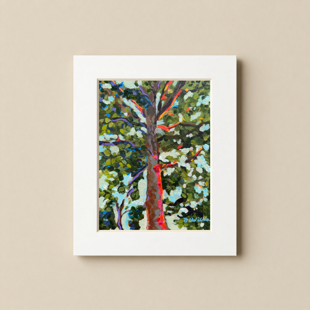 Tree in Napa Valley 8x10 Matted Print