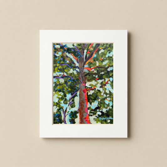 Tree in Napa Valley 8x10 Matted Print