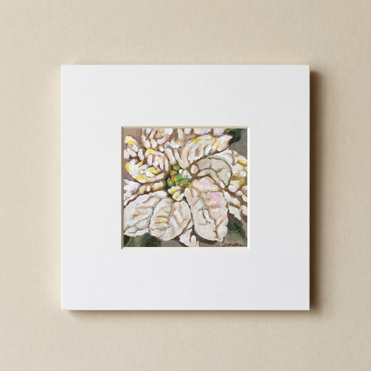 White Pointsettia 8x8 Matted Print