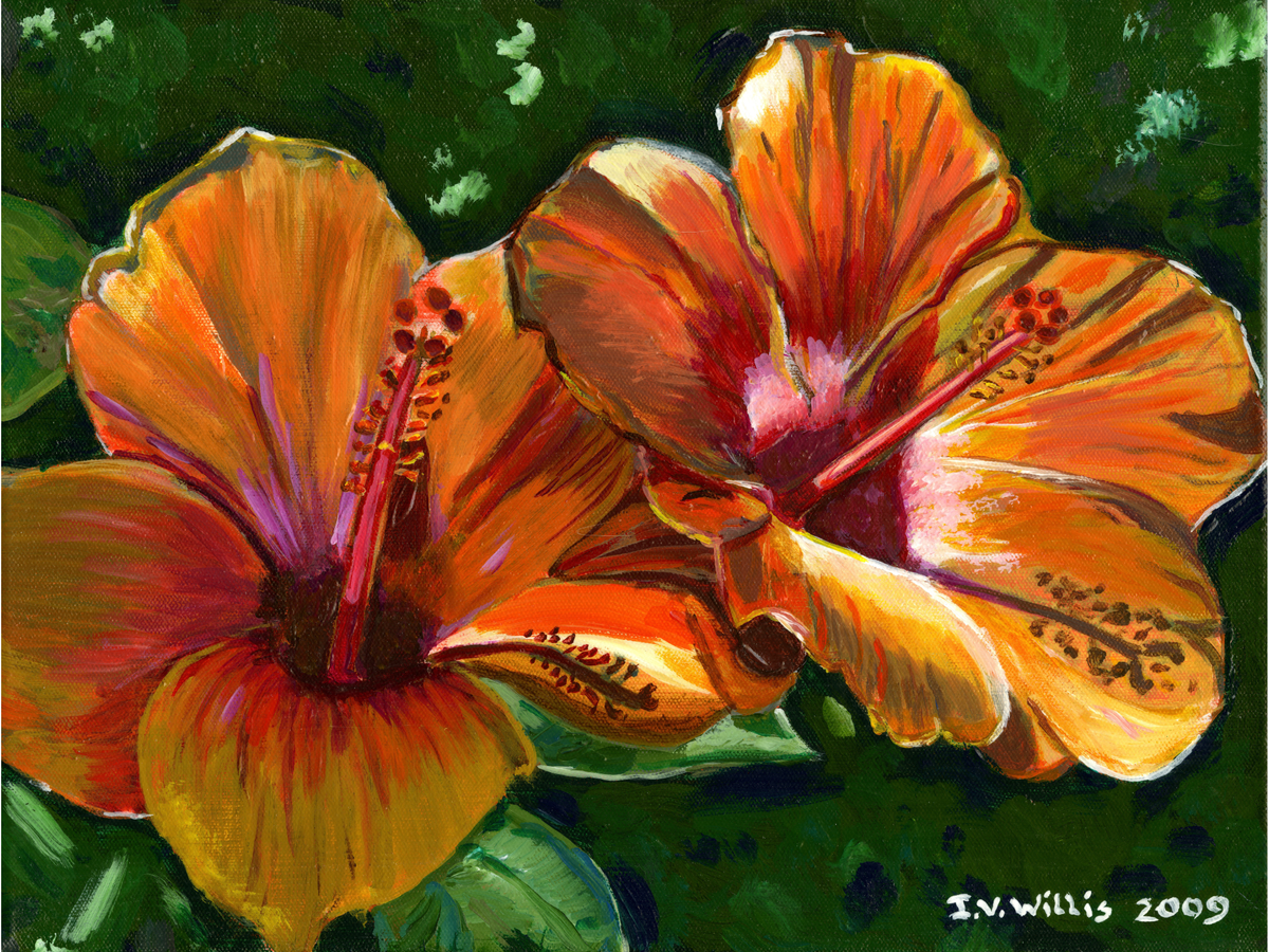Hibiscus Original Painting