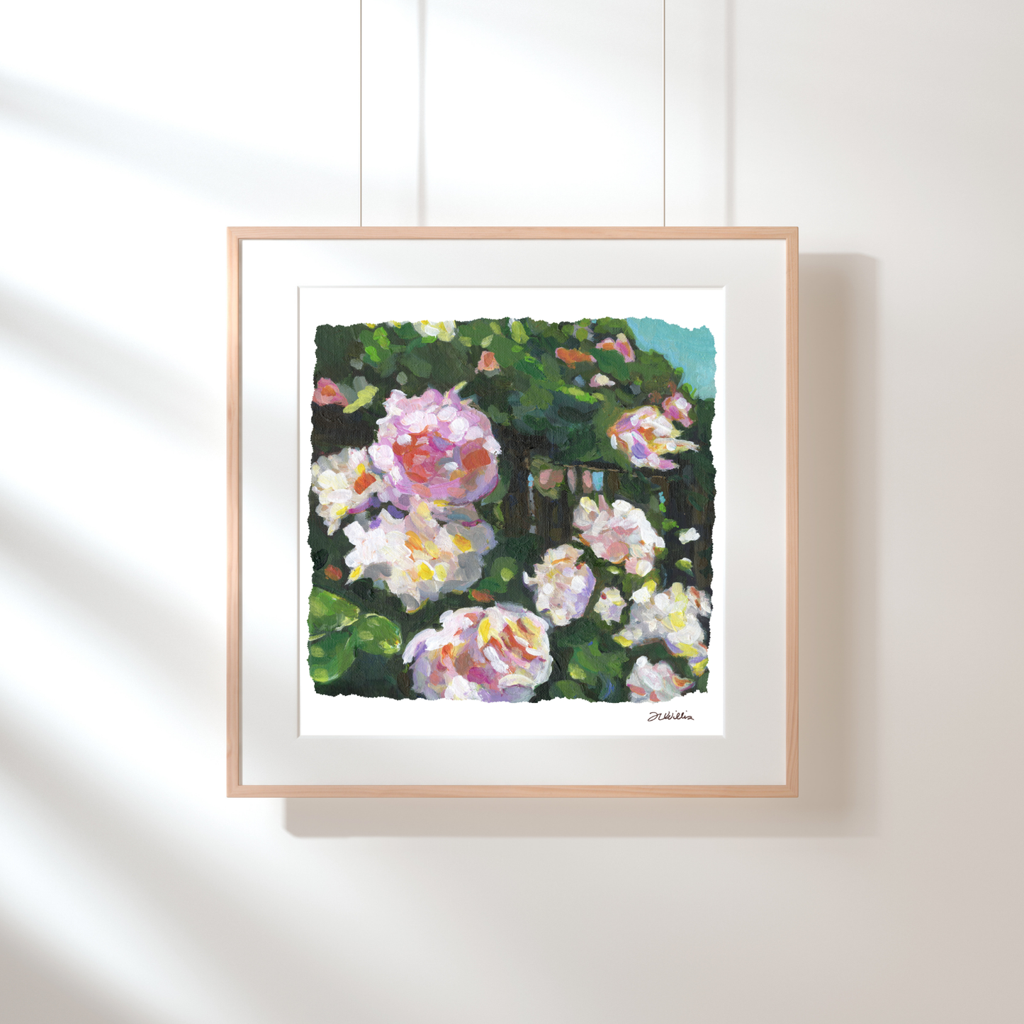 Seville Rose Fine Art Print