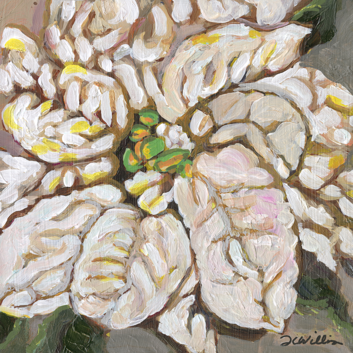 White Pointsettia Original Painting
